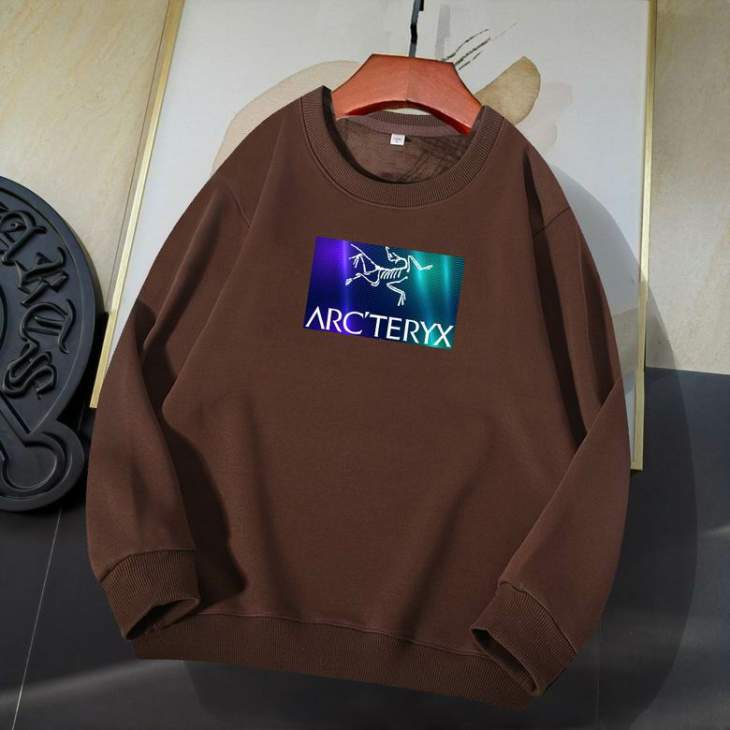 Picture of Arcteryx Sweatshirt _SKUArcteryxM-4XL11Ln1129495